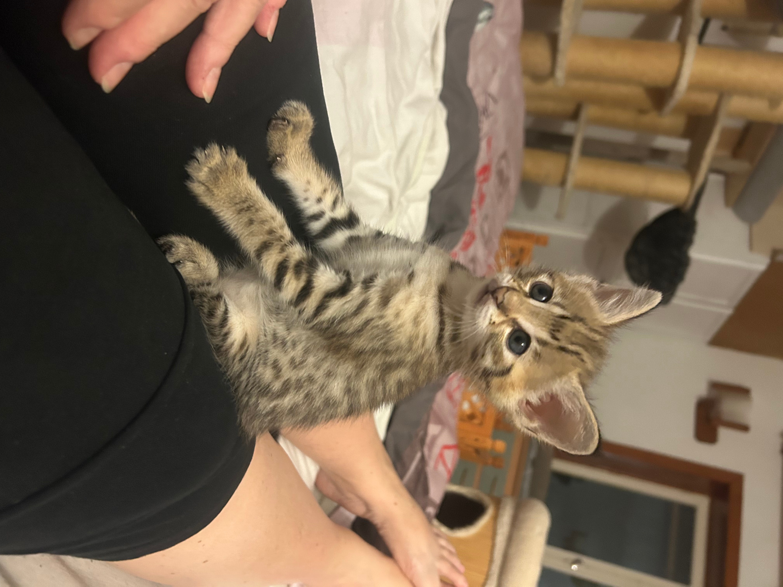 2023 11 01 21.30.231